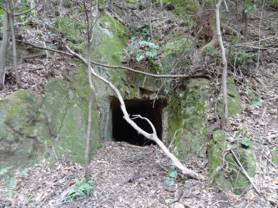 e0033751_17523984.jpg