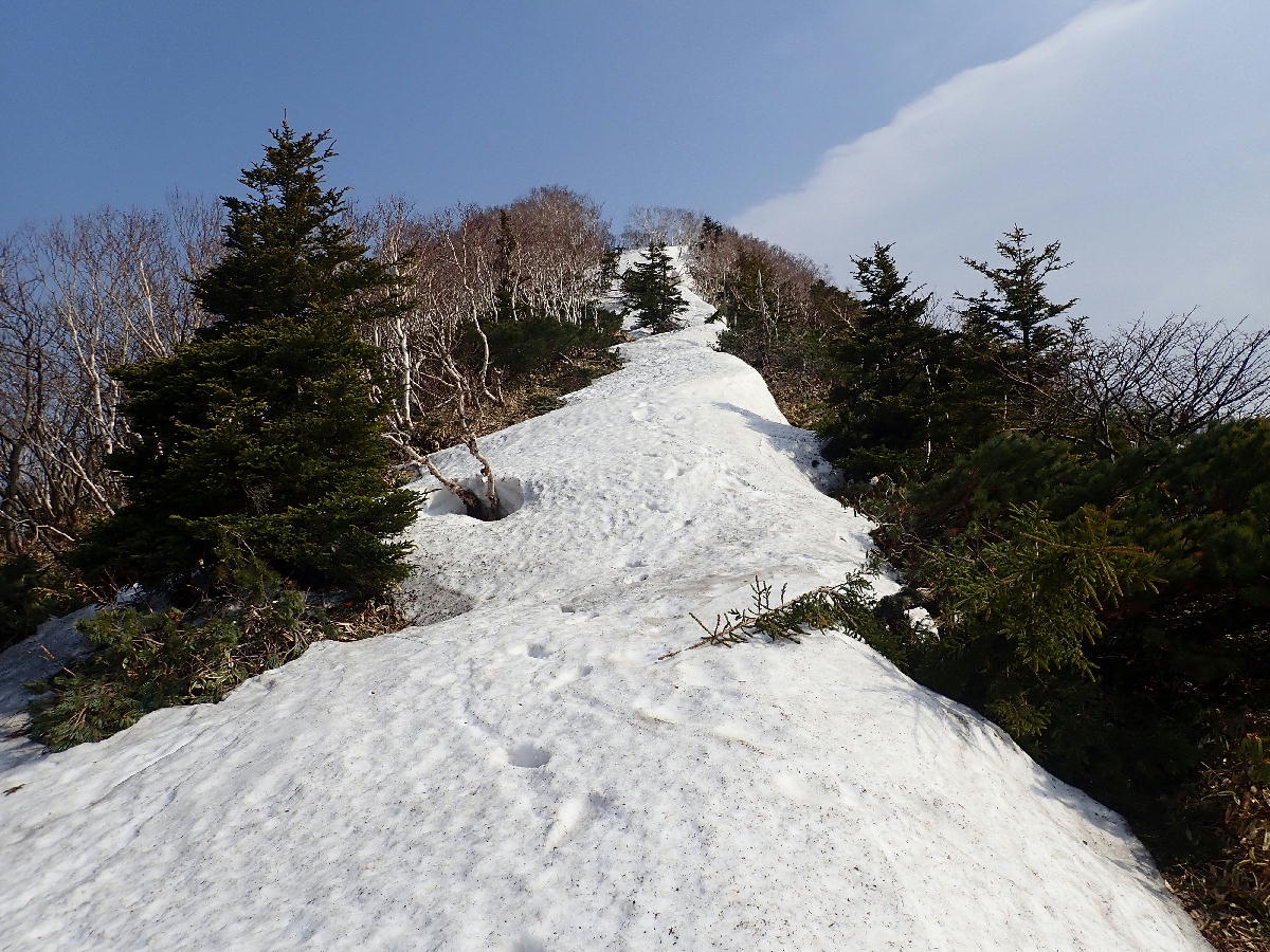 アポイ岳810m　2018.04.21_e0352951_19245130.jpg