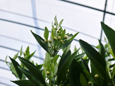 a0254656_18284226.jpg