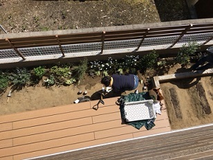 新築のお家の植栽を植えてきました_a0201358_17171235.jpg