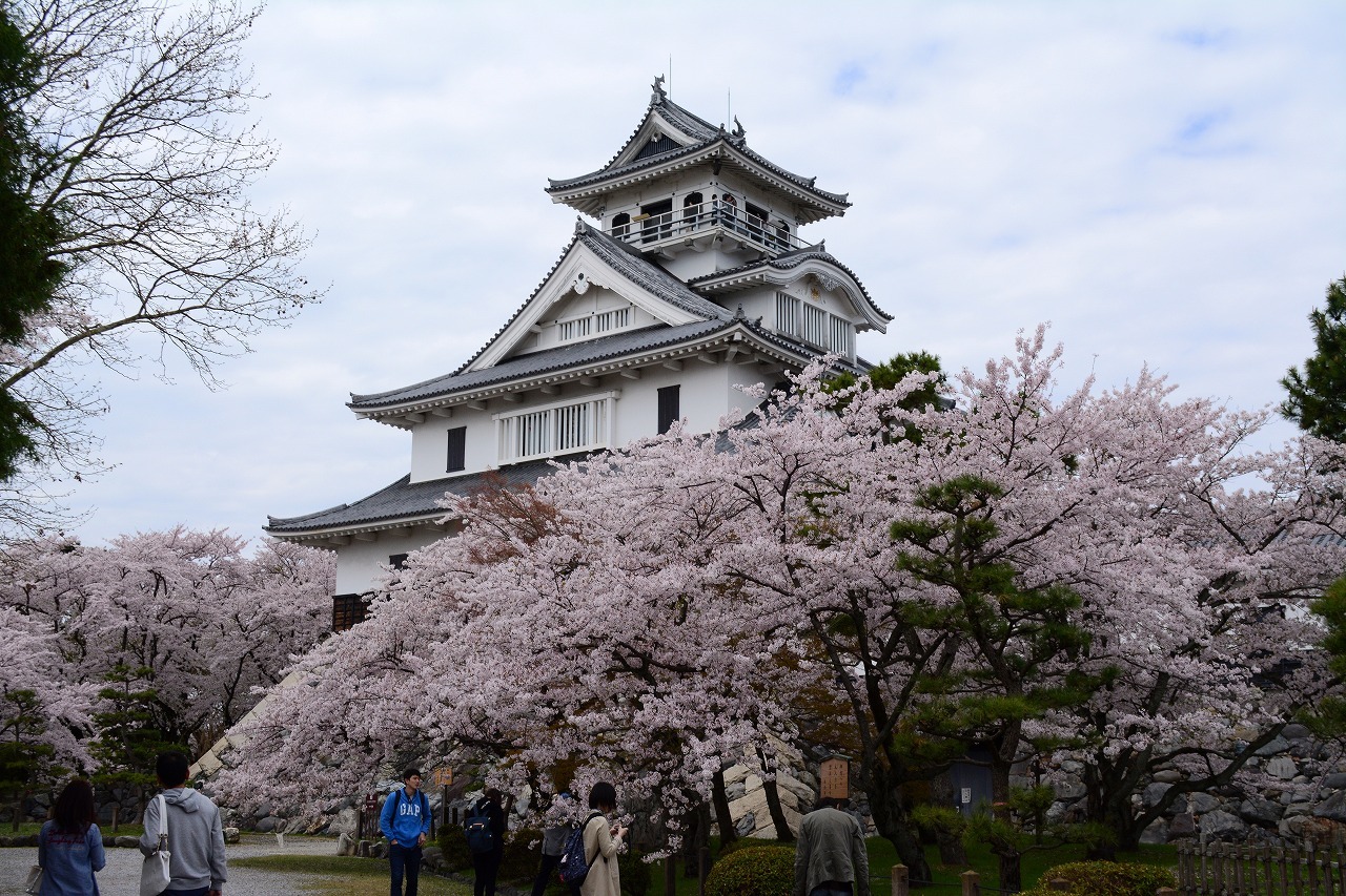 桜紀行　第三章「城郭」（長浜城と城下町）_e0347372_15370590.jpg