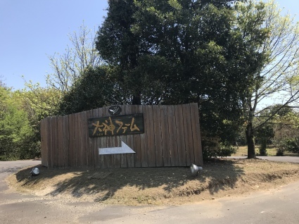 d0048577_15245219.jpeg