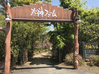 d0048577_15254974.jpeg