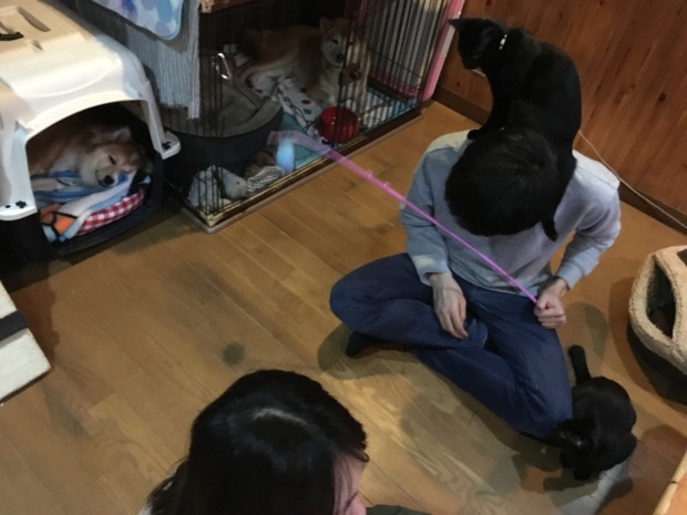 b0377882_00594226.jpeg