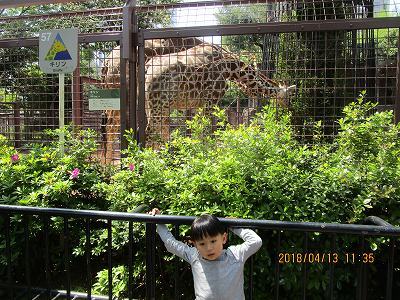 上野動物園　　　５０回忌法要　　　地鎮祭_b0092684_20155191.jpg