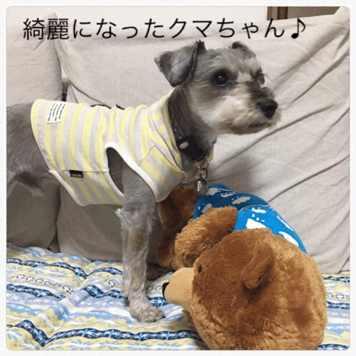 d0134785_08441395.gif