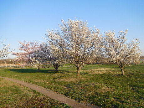 c0253487_02282128.jpg