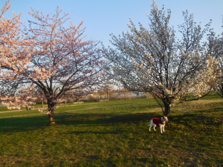 c0253487_02350468.jpg