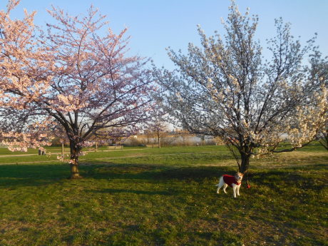 c0253487_02353633.jpg