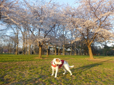 c0253487_02370227.jpg