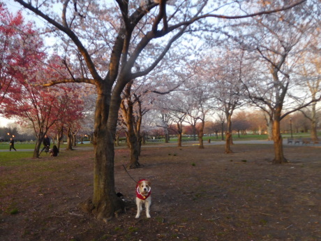 c0253487_02383717.jpg