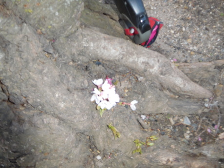 c0253487_02393876.jpg