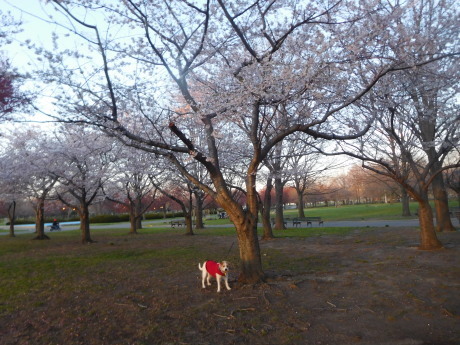 c0253487_02401160.jpg