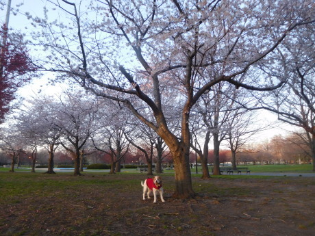 c0253487_02404122.jpg