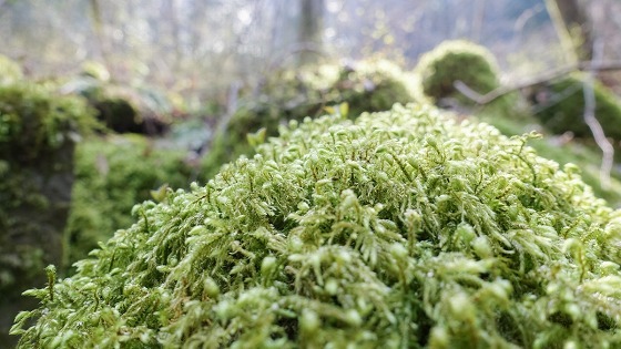 e0176993_07003449.jpg