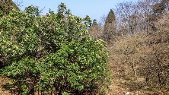 e0176993_07005523.jpg