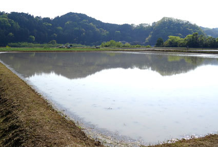 これからしばらく忙しくなりそうです_b0145296_19012999.jpg