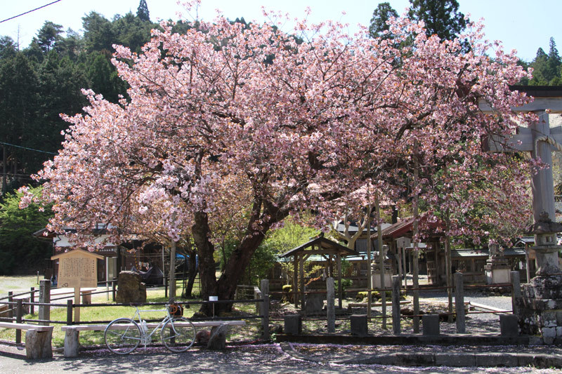 d0383596_00184427.jpg