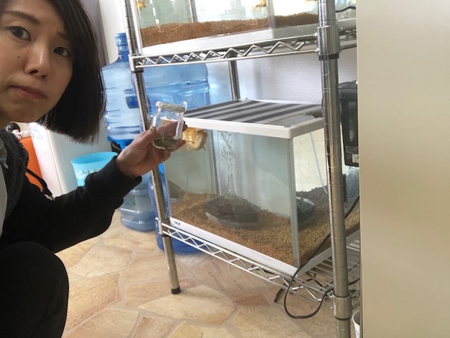 b0127002_17342702.jpeg