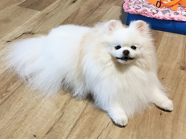 学ぶべきこと_d0360206_00511906.jpg