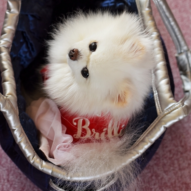 明日はどっちだ!?_d0360206_12542360.jpg