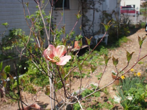 c0117007_21591510.jpg