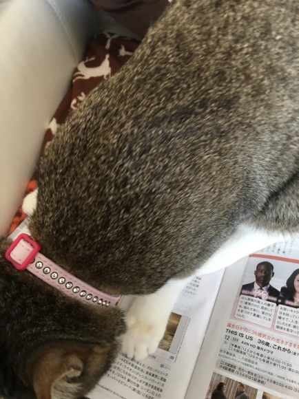 c0109109_13081979.jpeg