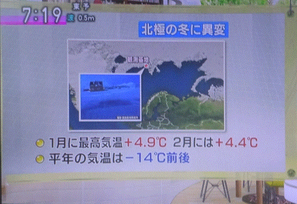 f0231709_17494279.gif
