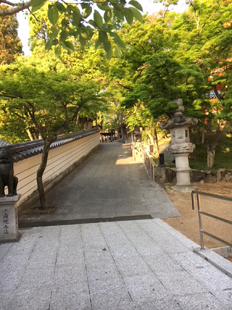 a0114314_08451842.png