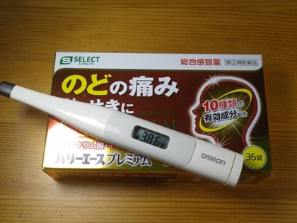 38.9°の高熱に襲われる_b0312424_17342755.jpg