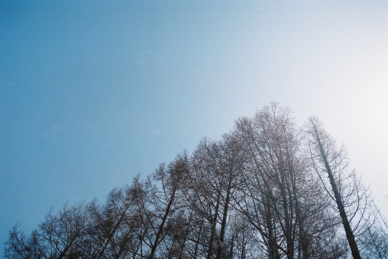 f0362725_13231349.jpg