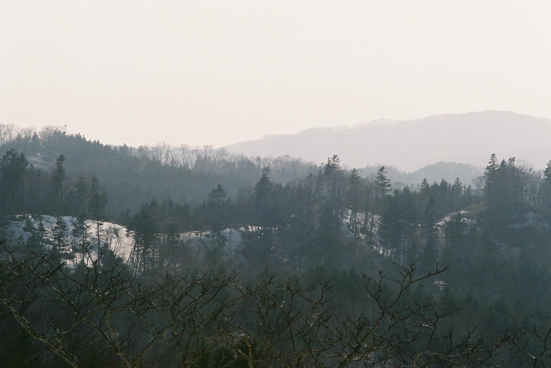 f0362725_13245695.jpg