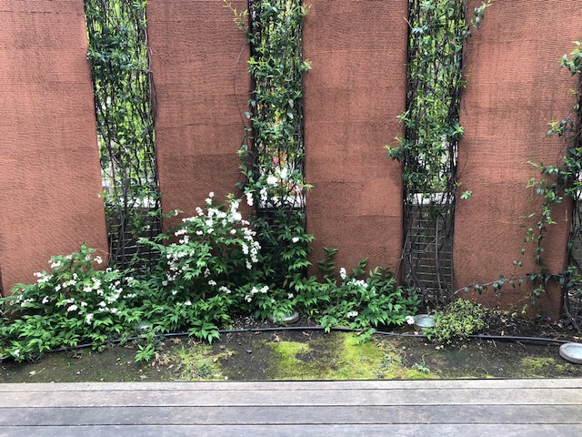 c0102727_21424686.jpg
