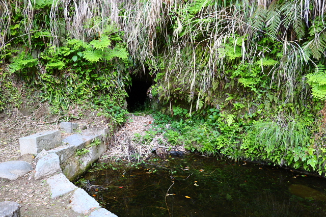a0222229_74866.jpg
