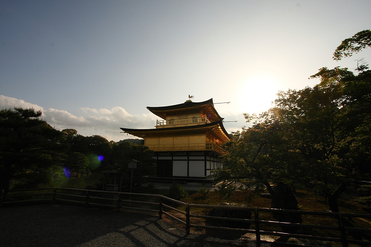 カキツバタ咲く金閣寺（後編）_b0169330_7504036.jpg