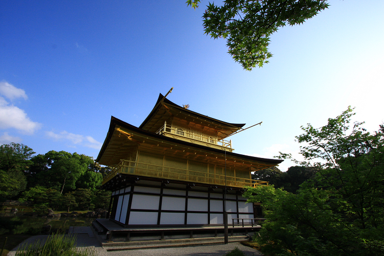 カキツバタ咲く金閣寺（後編）_b0169330_813555.jpg