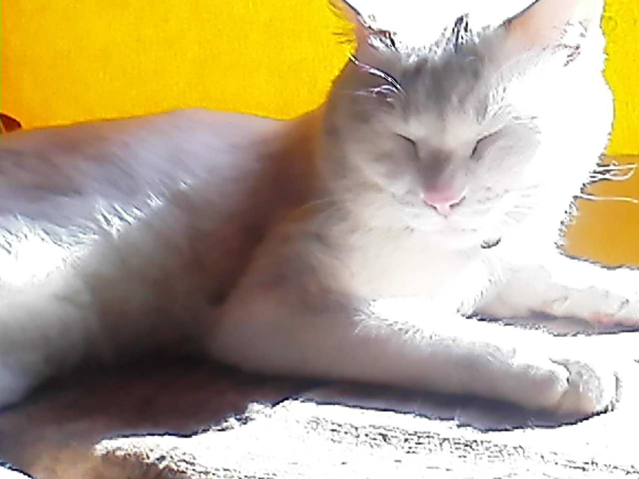 c0280730_21263006.jpg