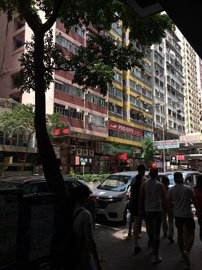 f0371533_21065636.jpg