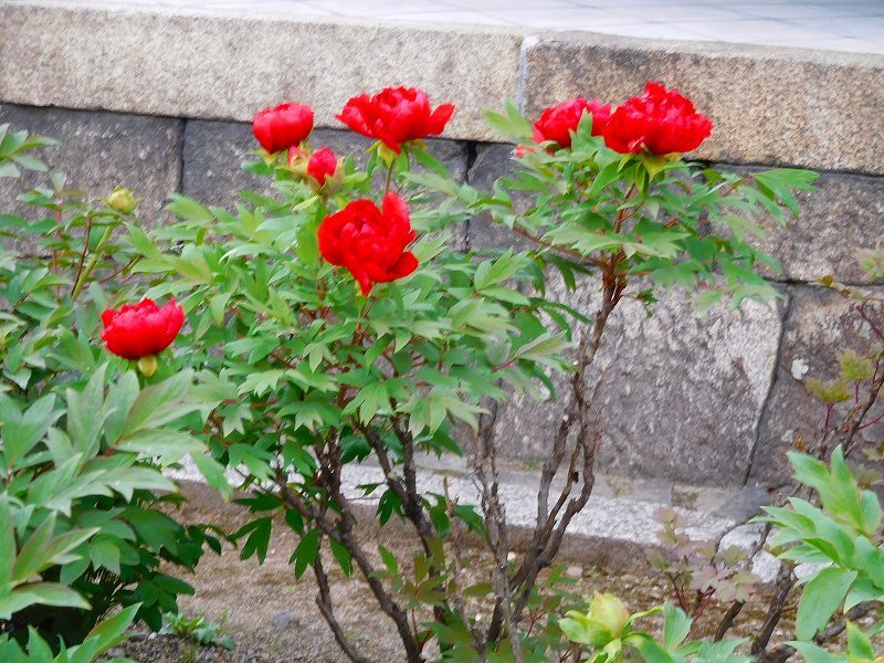 e0237645_15414483.jpg