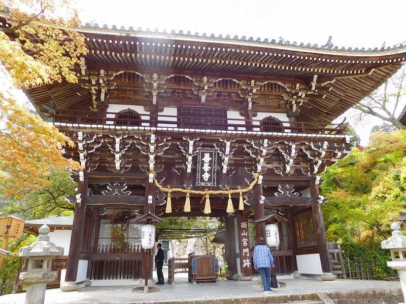 e0237645_15513538.jpg