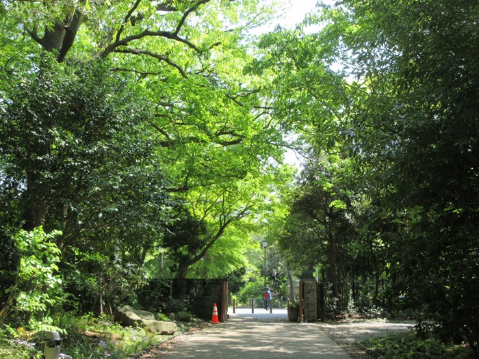 【俣野別邸庭園】別邸内部の見学【横浜市戸塚区】_b0009849_17162093.jpg