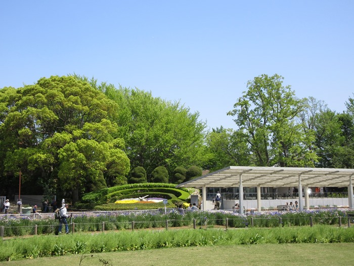 【大船フラワーセンター】新緑と花壇の花々【リニューアルオープン】_b0009849_17595343.jpg