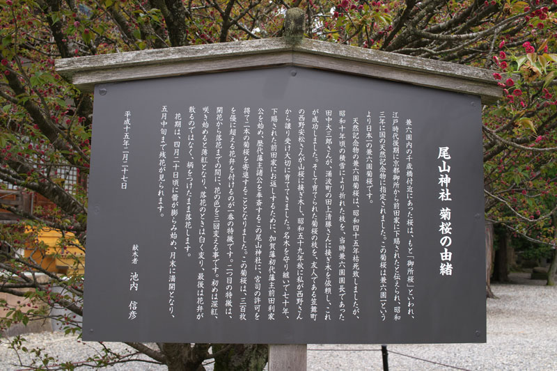 d0342652_12162385.jpg