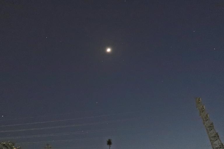 ほほぅ ひねもすのたりの時かいな