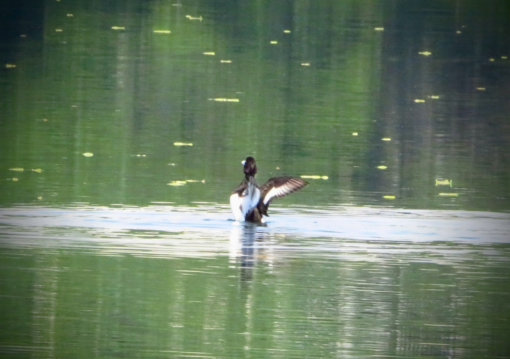 a0018655_12424857.jpg