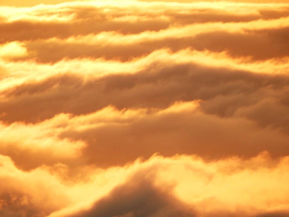 b0160957_18193288.jpg
