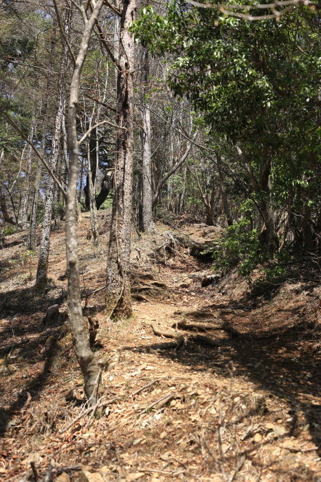 e0338862_20070408.jpg
