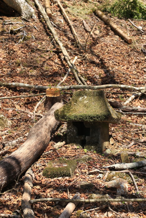 e0338862_20241588.jpg