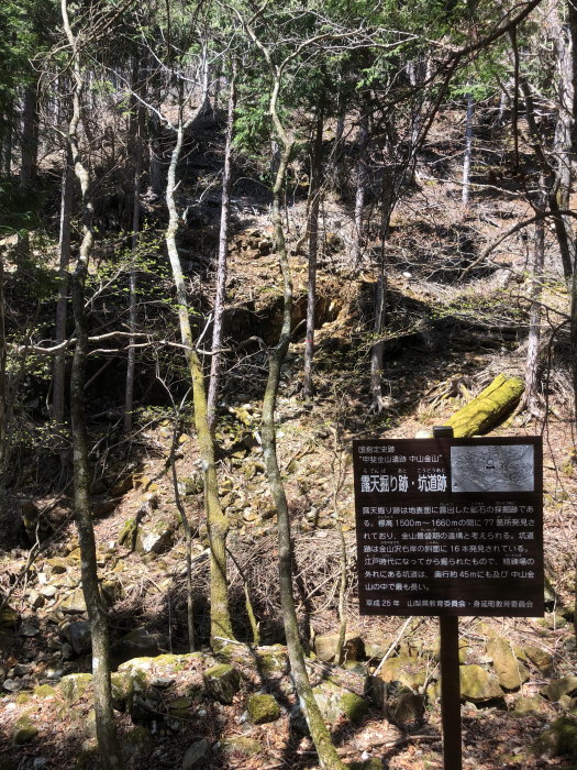 180422 毛無山(中山金山コース)　_e0338862_20245759.jpg