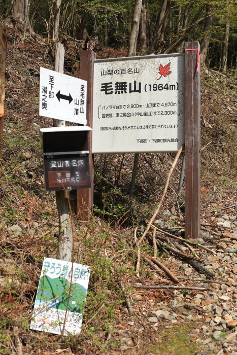 e0338862_20295324.jpg